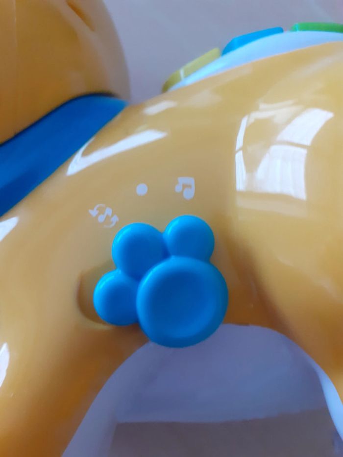 Chien Caché-Coucou - photo numéro 4