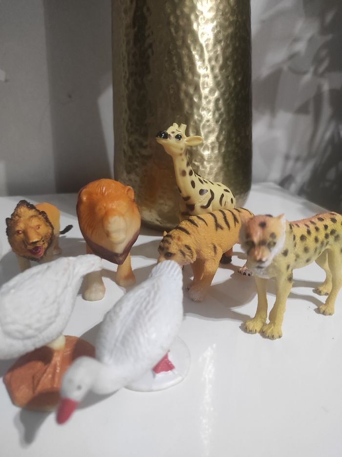 9 animaux - photo numéro 2