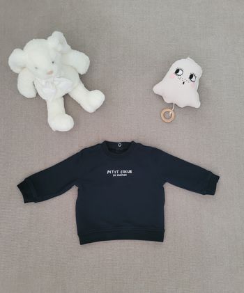 Sweat bébé garçon Kiabi - 9 mois