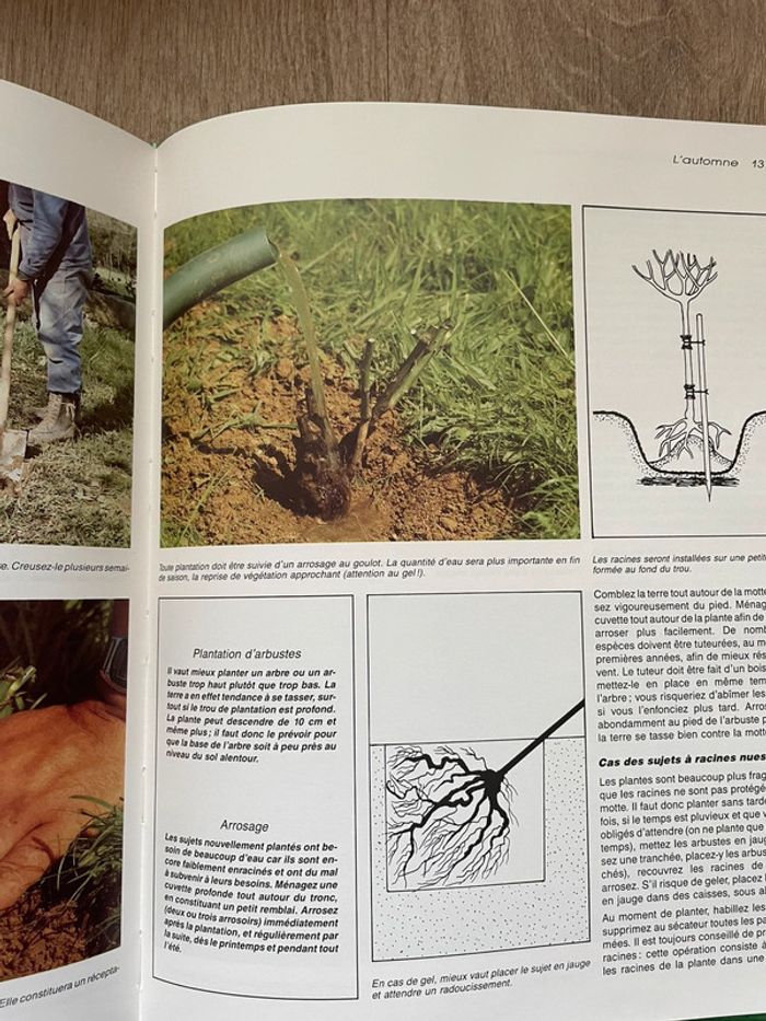 Calendrier du jardinage - photo numéro 4