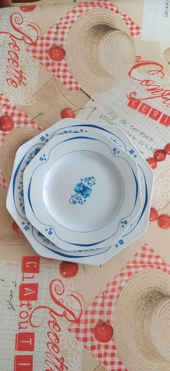 Lot assiettes en plastique polymère.