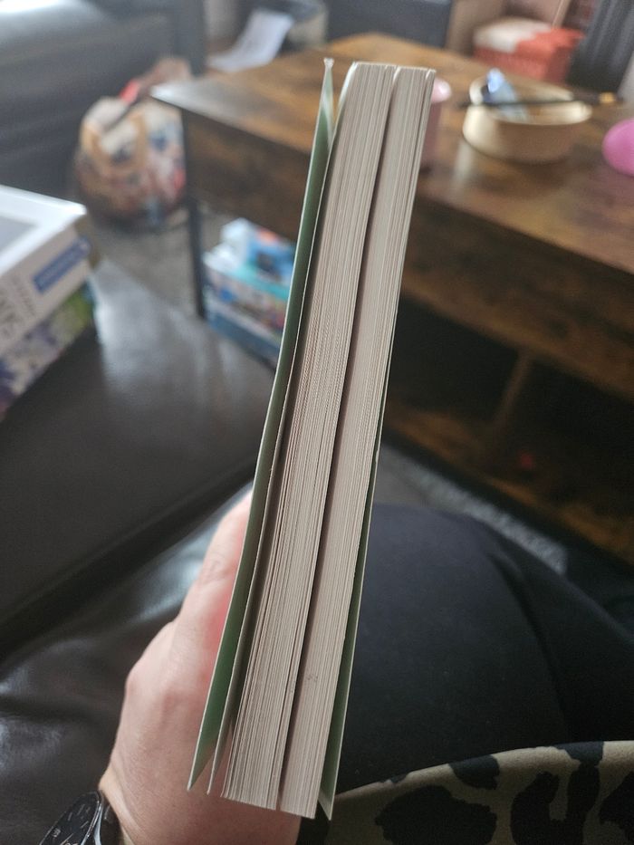 Livre - photo numéro 2