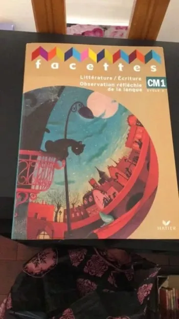 Livre de préparation de cours littérature écriture CM1