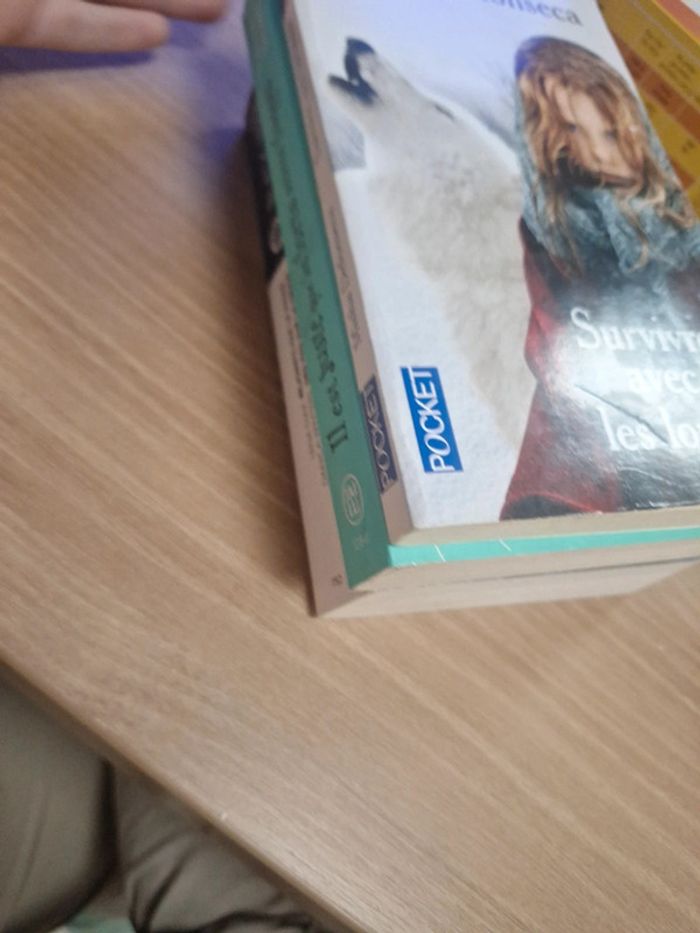 Lot de 3 livres différents - photo numéro 9