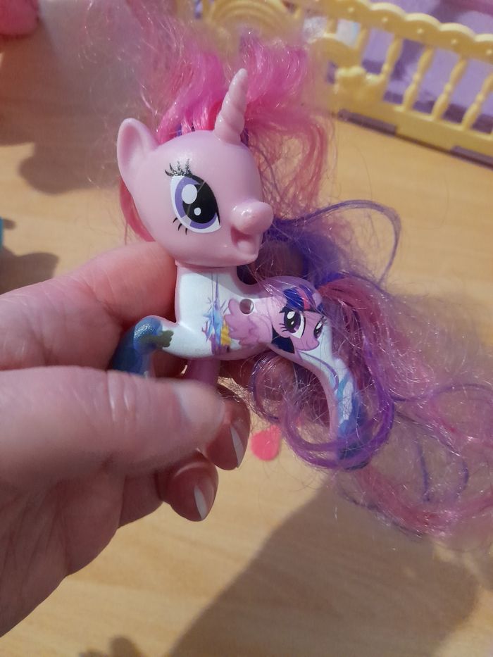 Petits poneys - photo numéro 6