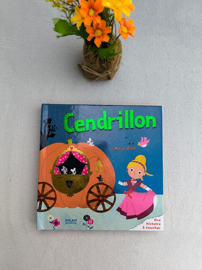 Livre Cendrillon Milan