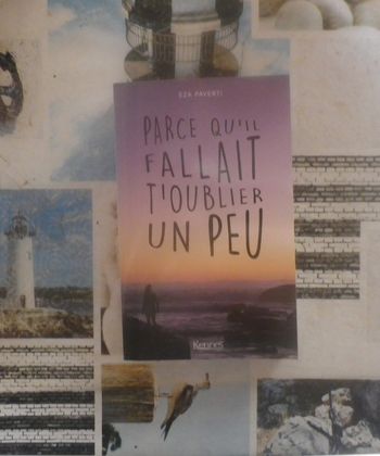 Parce qu'il fallait t'oublier un peu de Eza Paventi