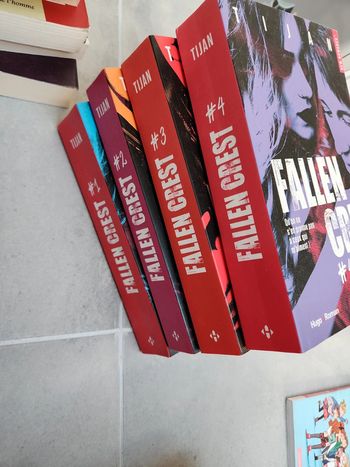 Lot de 4 livres Fallen Crest