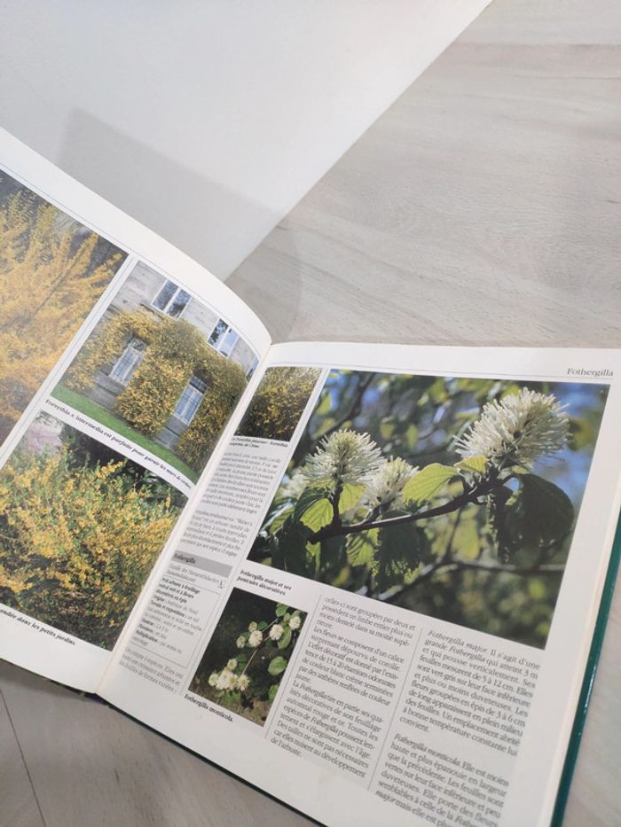 Livre encyclopédie des fleurs et des plantes de jardin - photo numéro 7