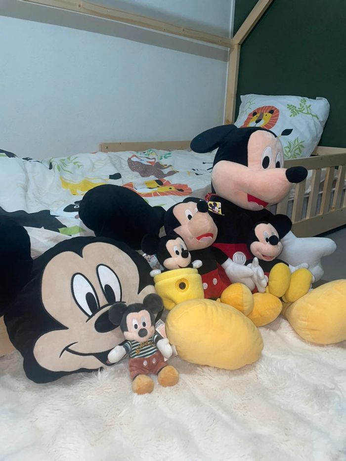 Lot Mickey