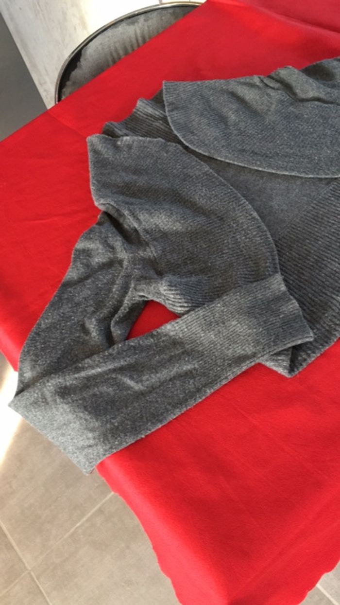 Gilet cour - photo numéro 2