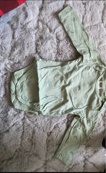 Lot Bodie eco+