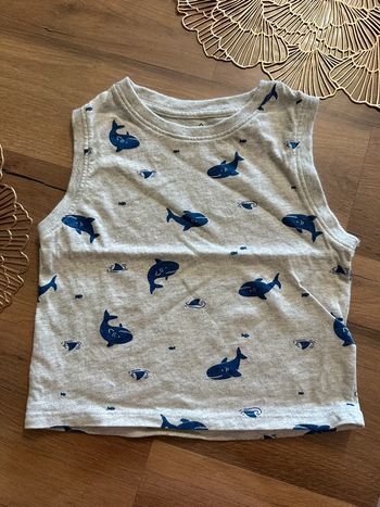 Tee-shirts garçon taille 12 mois