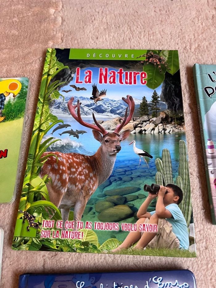 Lots de livre enfant - photo numéro 5