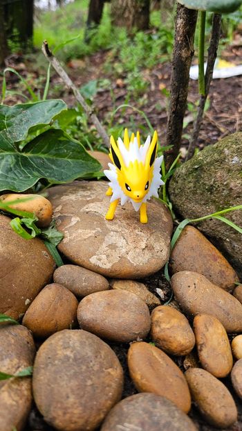 Super figurine Pokemon Nintendo voltali