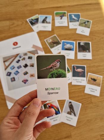 Support pédagogique anglais - Cartes nomenclatures montessori bilingues Oiseaux