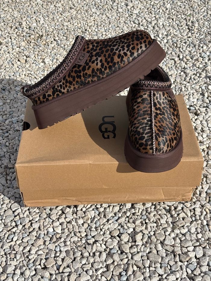 Ugg tazz caspian