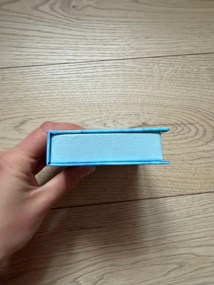 Boîte Diddl - photo numéro 4