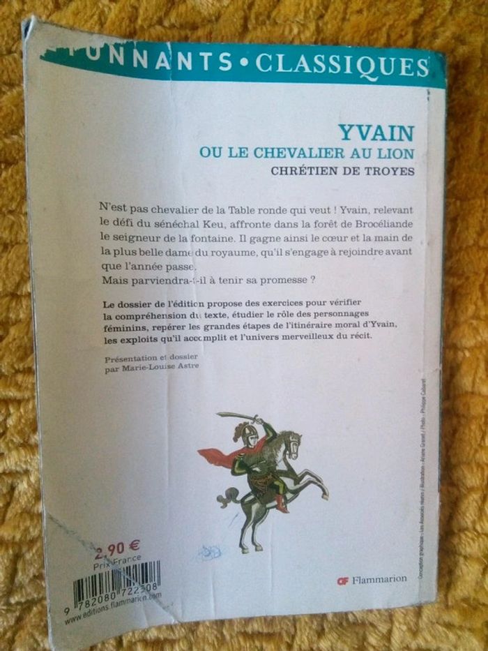 Yvain ou le chevalier au lion par Chrétien de Troyes - photo numéro 2