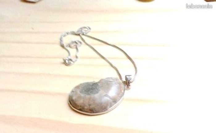 collier pendentif fossile d'ammonite - photo numéro 2