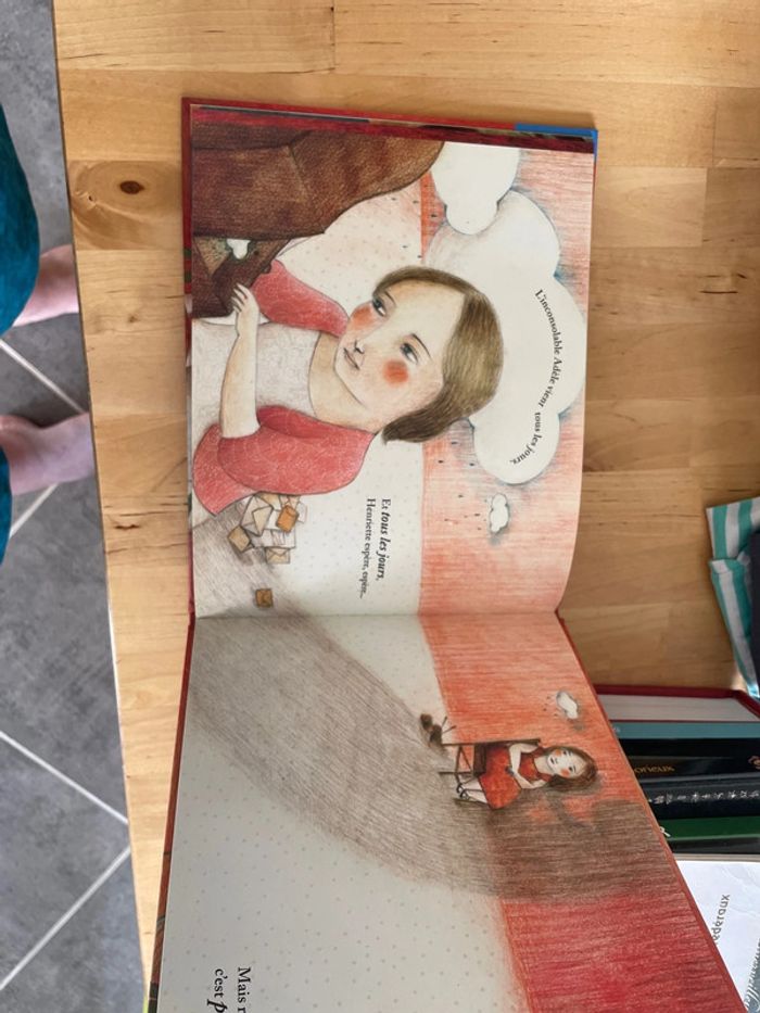 Magnifique livre enfant aux peines perdues - photo numéro 3