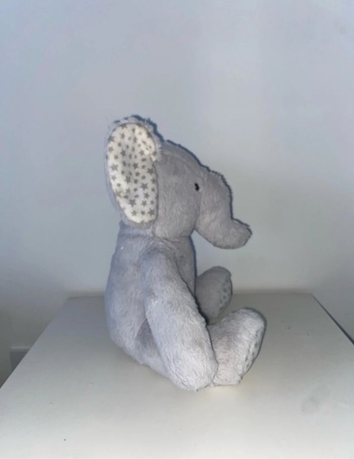 Éléphant - photo numéro 2