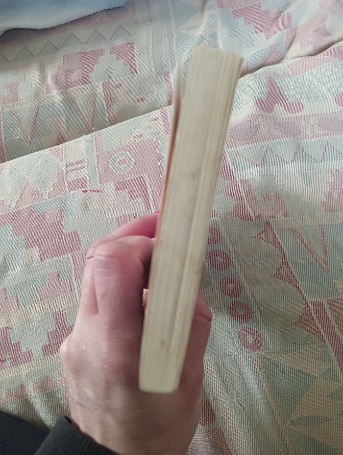 Le combat de Mélanie - photo numéro 5