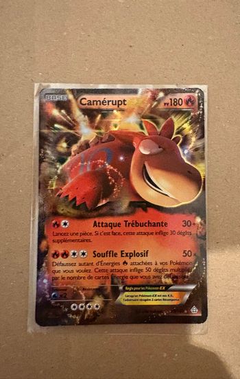 Camerupt ex