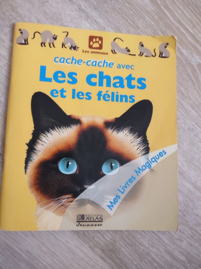 Mes livres magiques Cache cache avec les chats et les félins