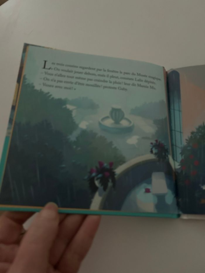 Livre McDo rue de Paris temps de pluie - photo numéro 2