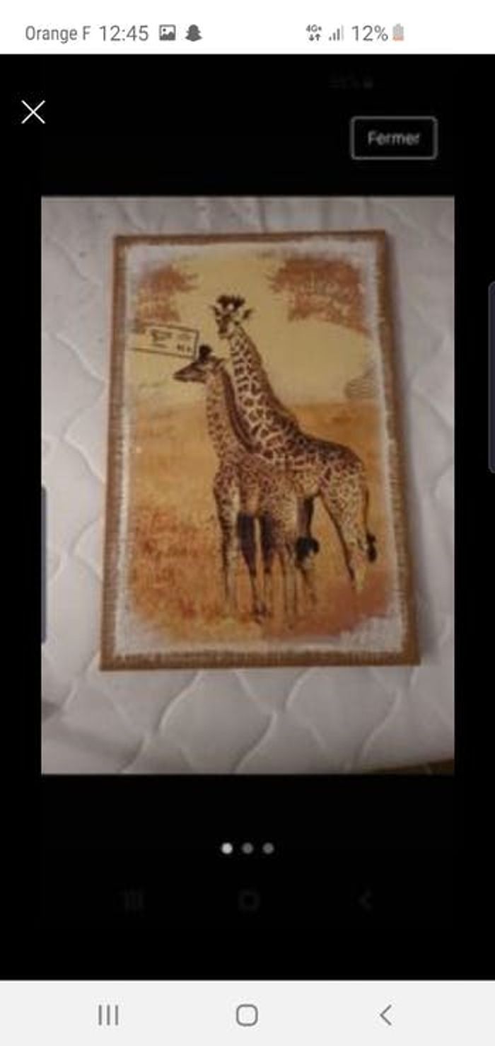Girafes