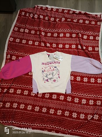 Pull fille Harry Potter