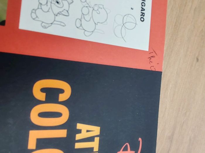Livre coloriage Disney - photo numéro 2