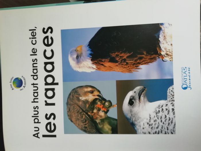 lot 3 Atlas junior des animaux dinosaures,rapaces,ours blanc - photo numéro 6