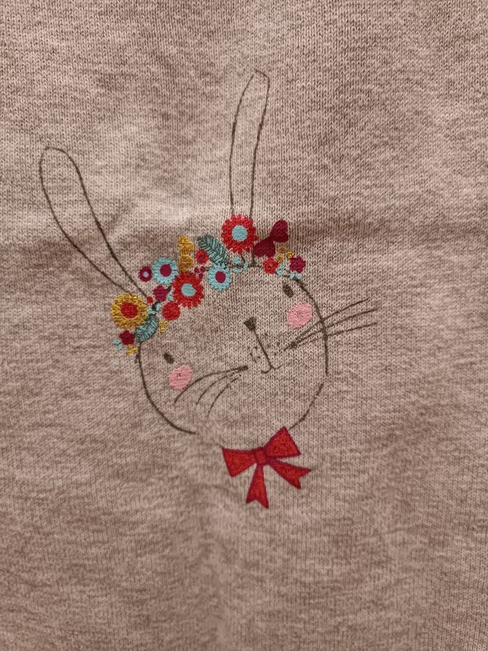 Robe Orchestra - photo numéro 2