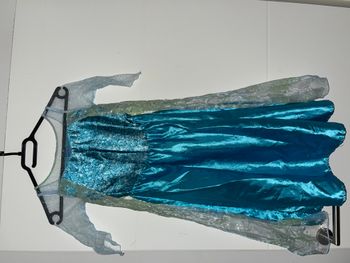 Déguisement Reine des neiges