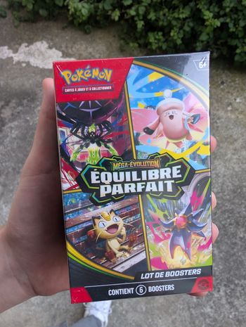 Réservation pokémon 