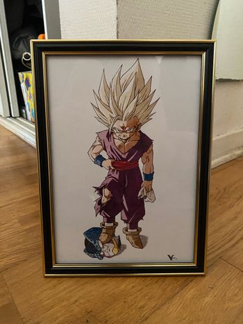 Cadre dragon ball