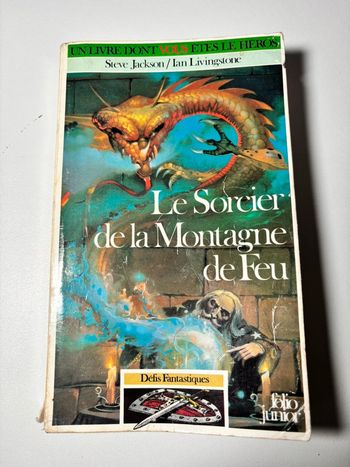 Un livre dont vous êtes le héros LDVELH 252 le sorcier de la montagne de feu