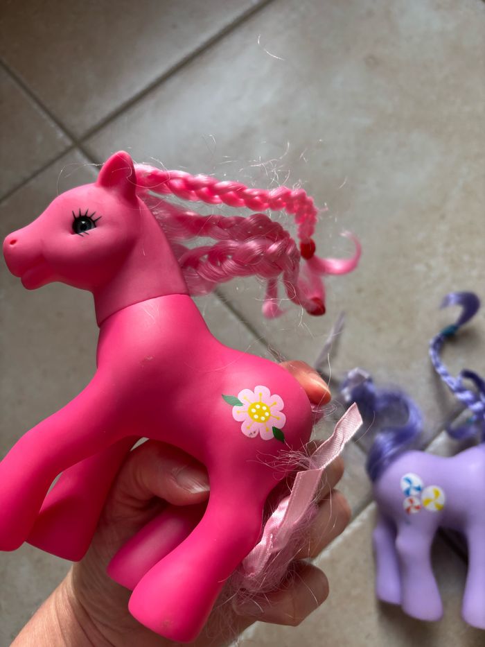 Petits poneys - photo numéro 3