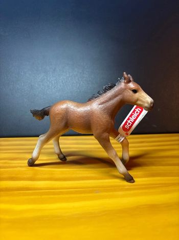 Poulain Mustang