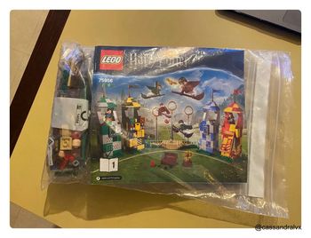 Lego Harry Potter 75956 Le match de Quidditch