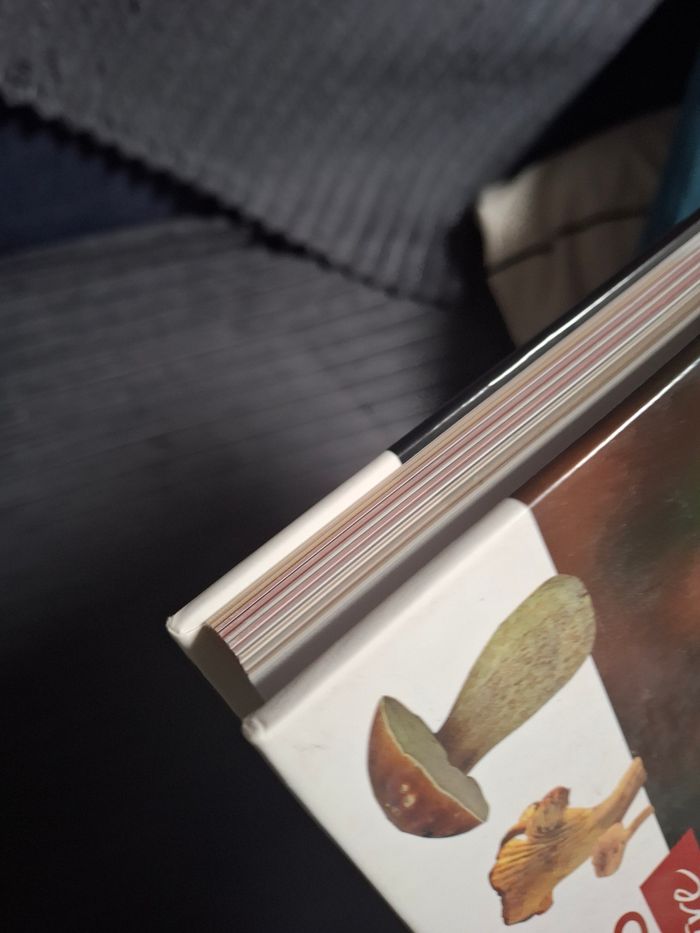 Livre Atlas nature "les champignons comestibles" - photo numéro 6