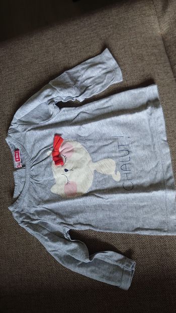 Tee shirt Chalut DPAM