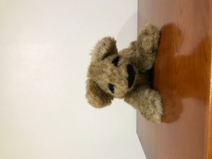 peluche félin les petites marie