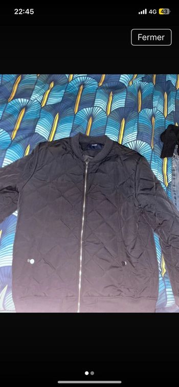 Veste