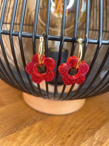 Paire de pampilles interchangeables