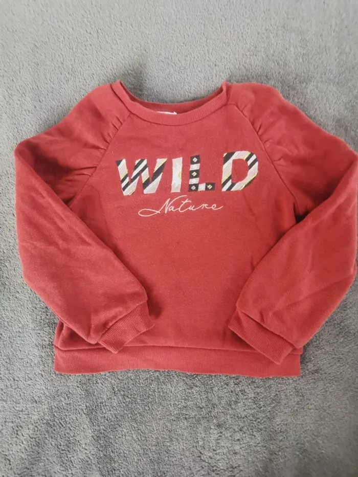 2 sweats 6 ans - photo numéro 2
