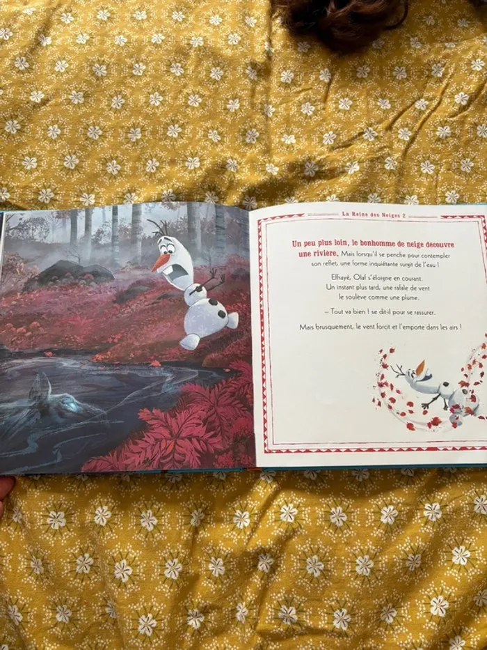 Livre la reine des neiges 2 - photo numéro 3