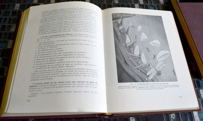 Le Livre de la Nature. En 2 Tomes. - KAHN F - 1958 - photo numéro 5